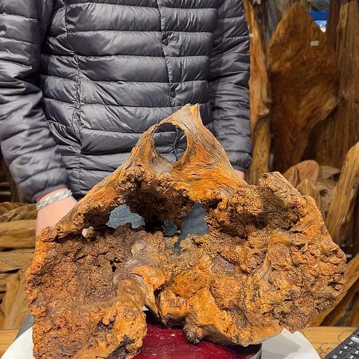 松木（琥珀木）一**途