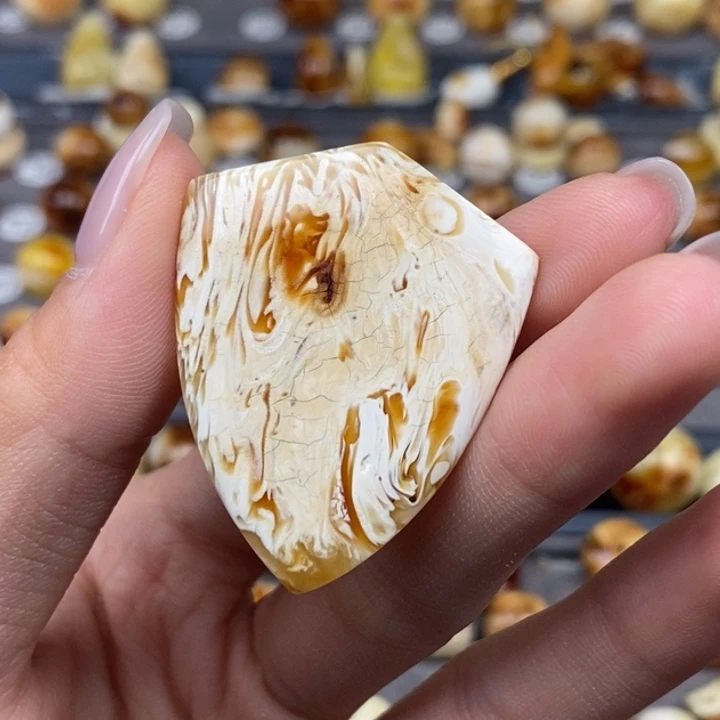 琥珀颈饰未镶嵌盾牌