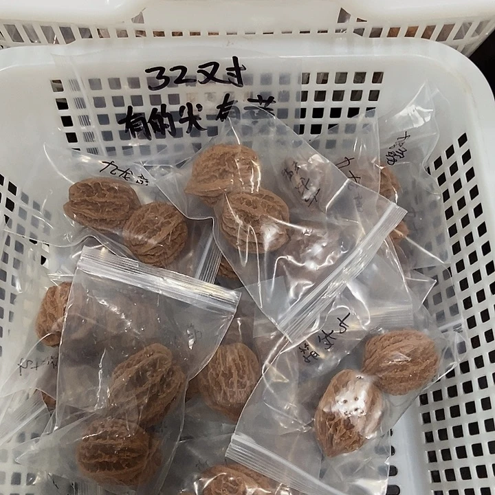 吊坠文玩核桃九龙筋瑕疵