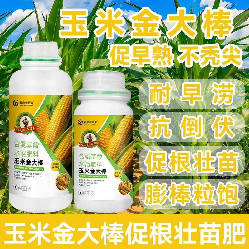 玉米金大棒增产促根抗倒伏促分蘖植株健壮穗大粒饱氨基酸水溶肥料