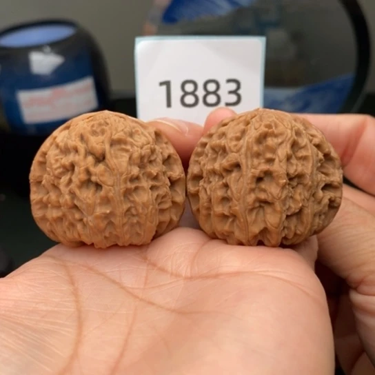 文玩核桃把件门*天39.5三角白1883