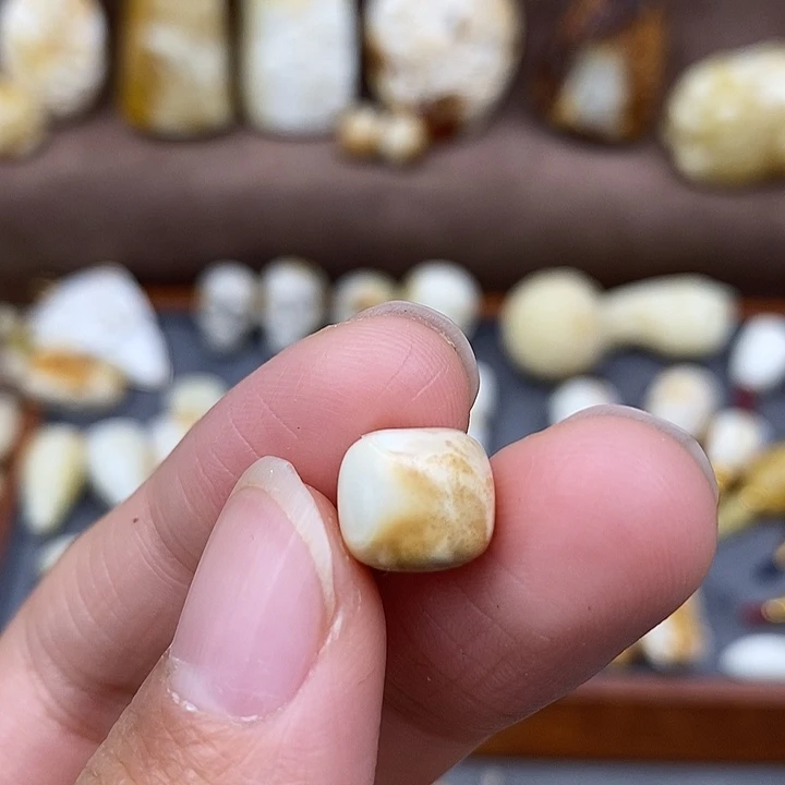 琥珀裸石未镶嵌9.7老邢m9