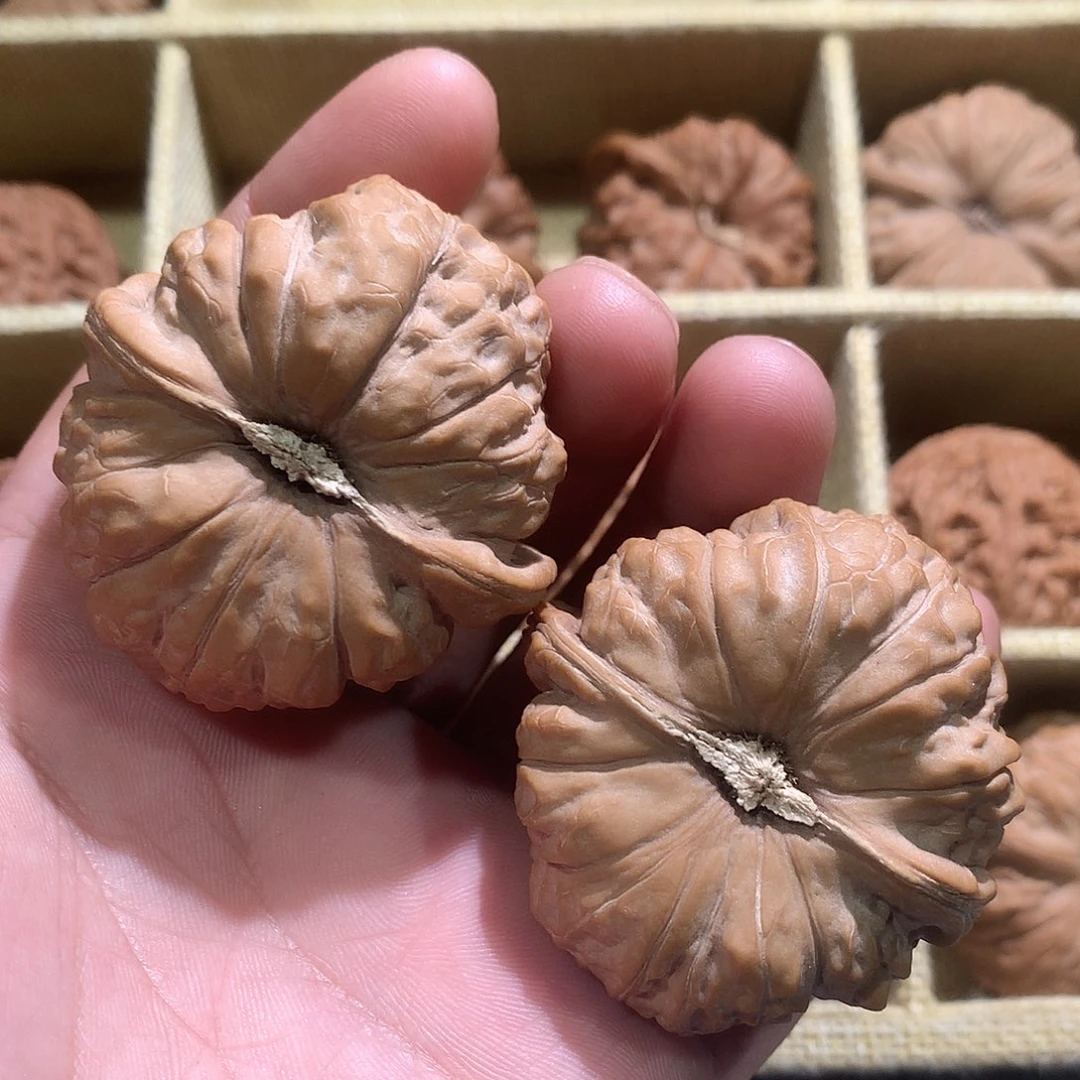 吊坠文玩核桃老树 南瓜蹲47尺寸