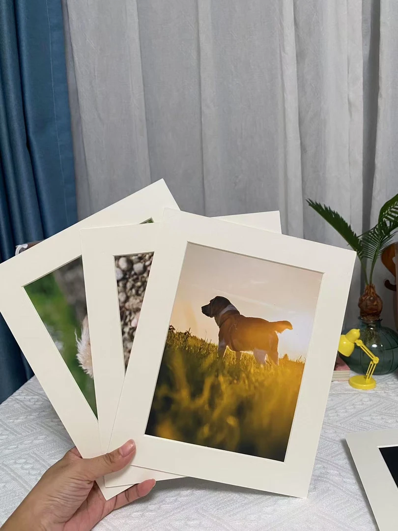 汪汪大队宠物相册