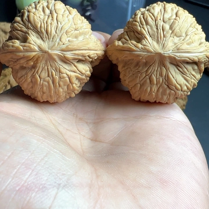 核桃全品无修泥鳅背