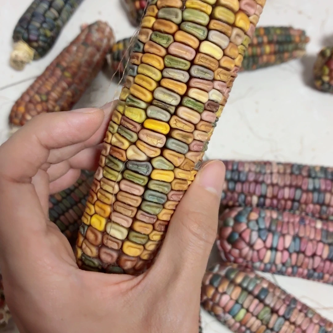 赫***夫白玉菩提吊坠文玩精品文玩精品