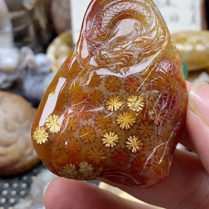 硅化珊瑚（珊瑚玉）颈饰未镶嵌