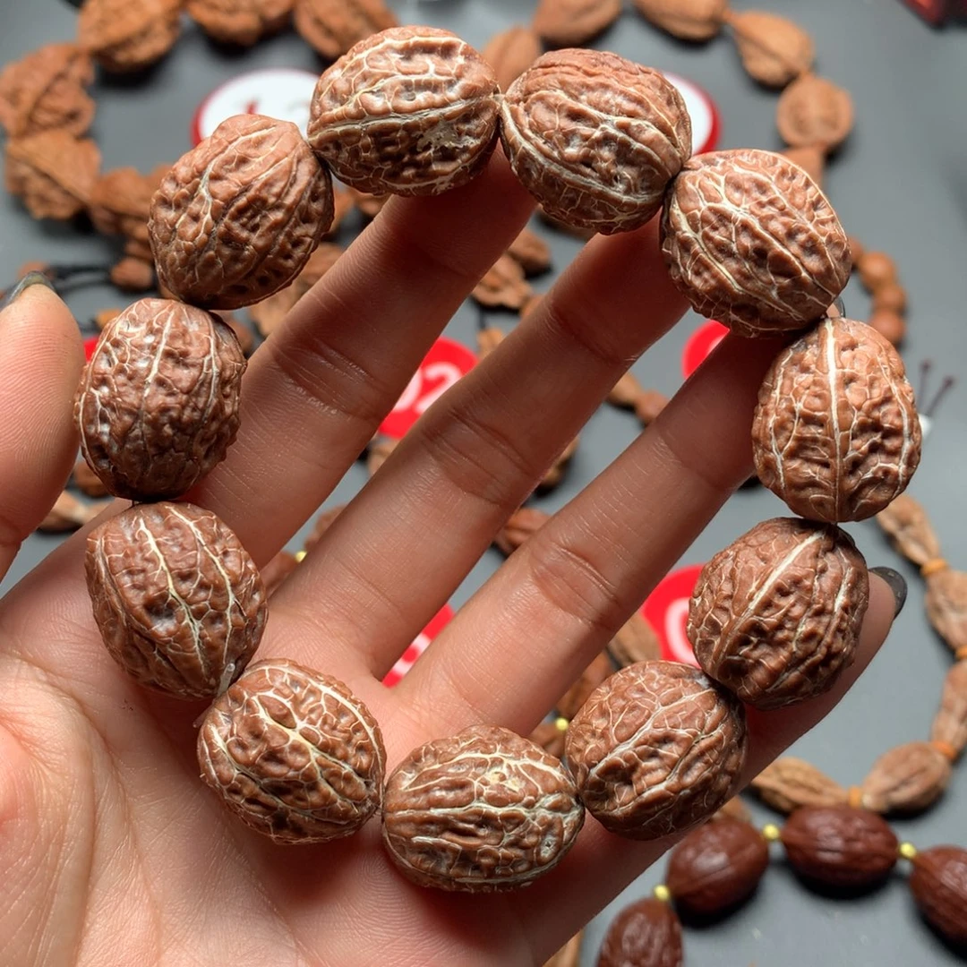 核桃58东北秋子小枣