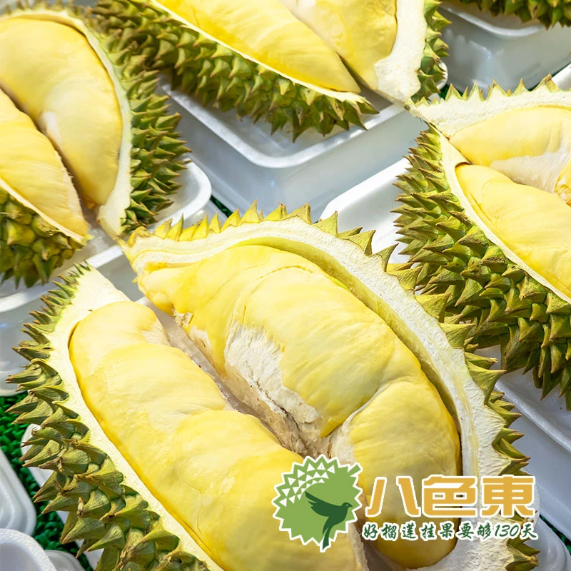 【八色東】泰国液氮榴莲切片 鲜切榴莲双A果一级肉树熟30年老树榴莲