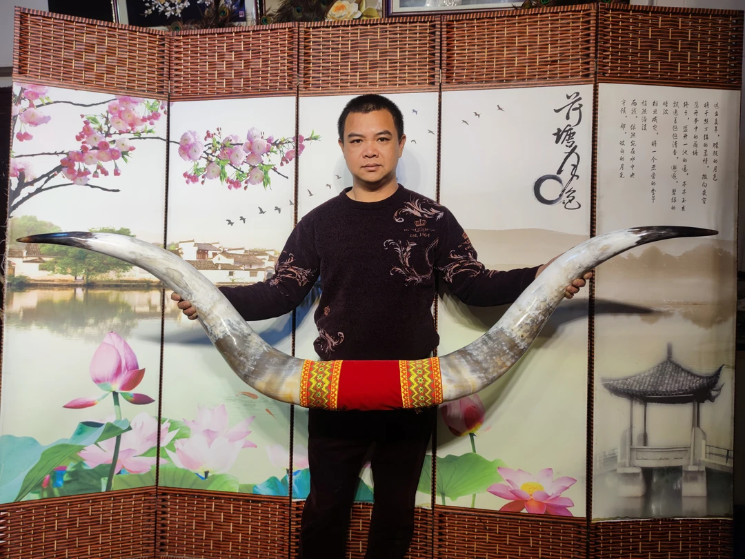 家居饰品摆件(非洲牛角对角):牛气冲天长166口径16酒店玄关创意