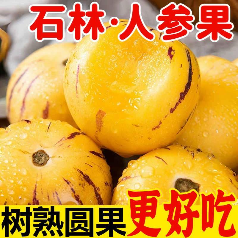 云南石林树上熟黄肉圆果果新鲜清甜低糖当季水果