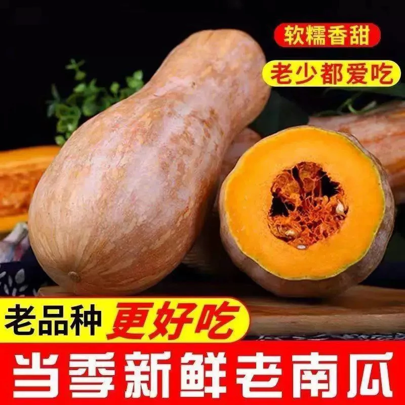 当季正宗老南瓜新鲜面甜黄肉宝宝孕妇辅食农家自种老品种南瓜