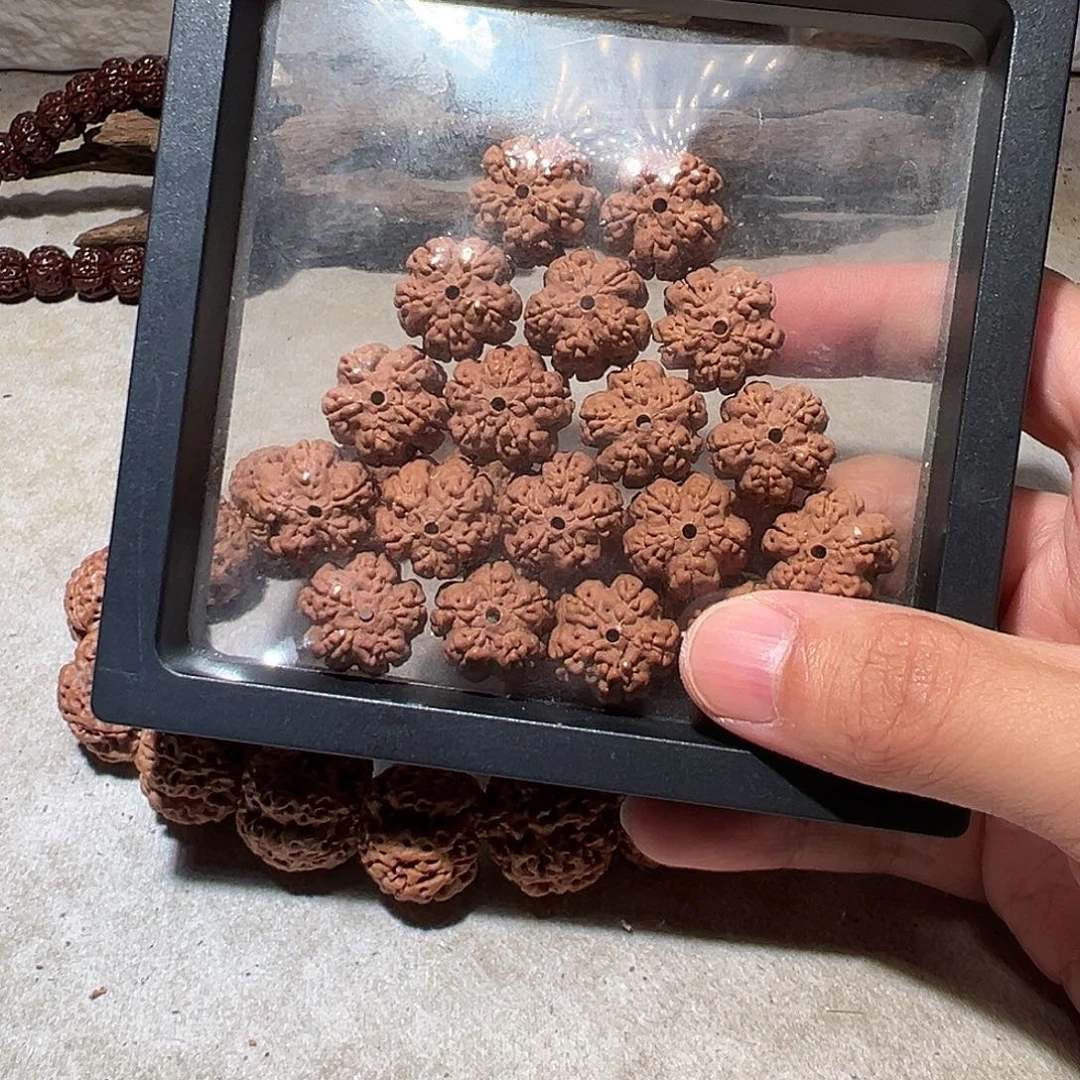 *****手串金刚菩提花王16尺寸福利