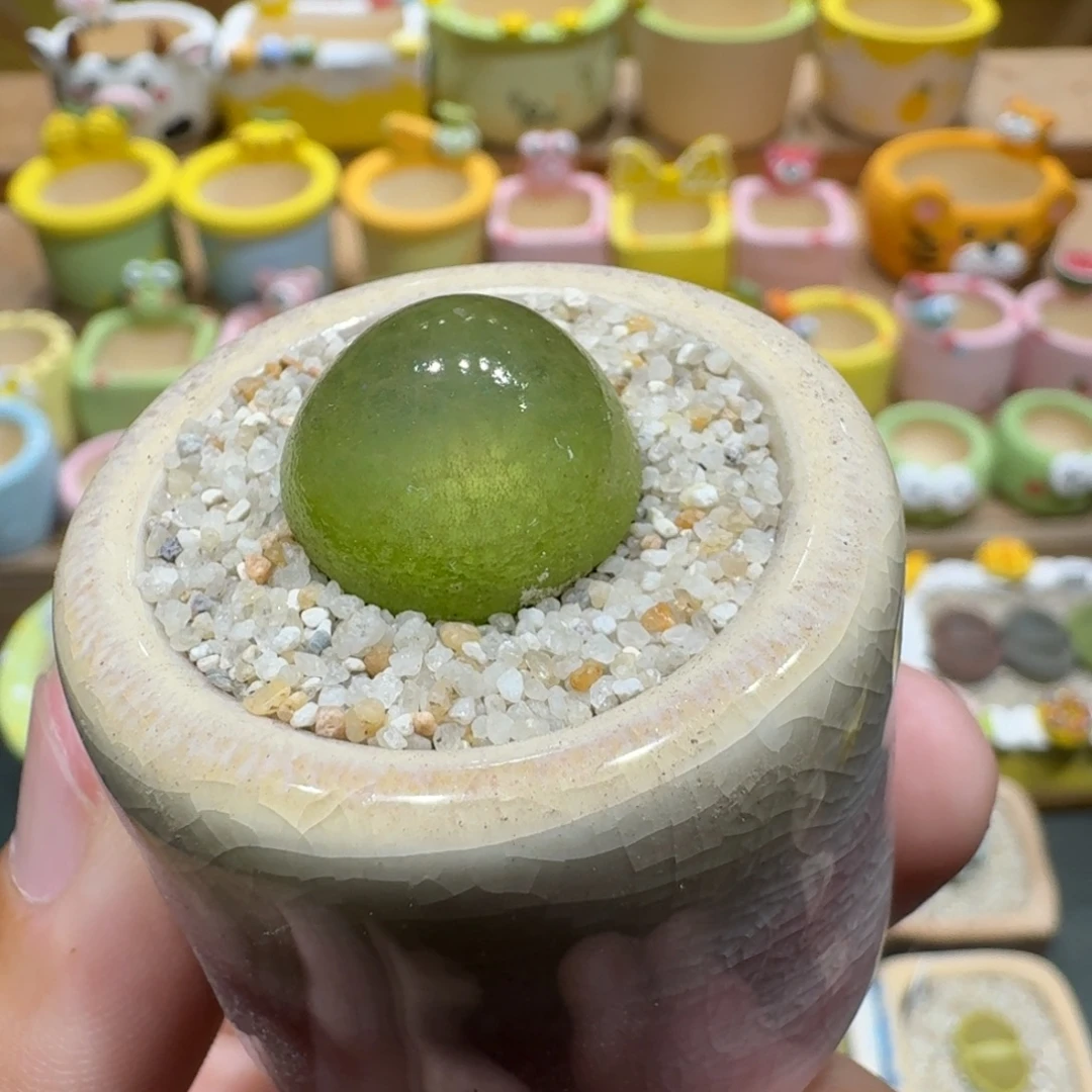 蘑菇1120灯泡多肉植物