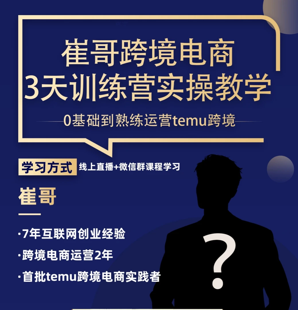 崔哥Temu跨境电商基础入门训练营实操课