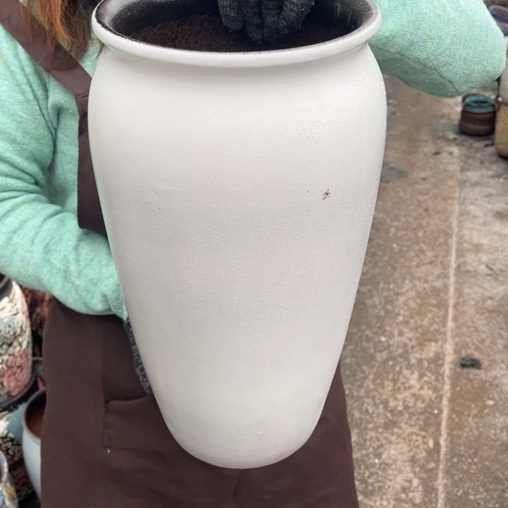 口20高41正品正品