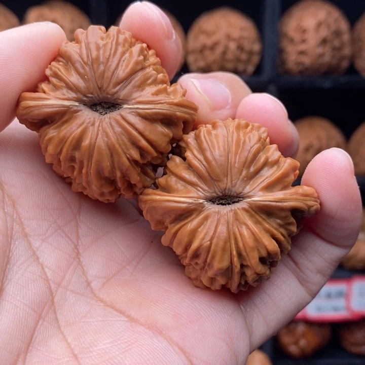 吊坠龙脊菩提39尺全品楼子