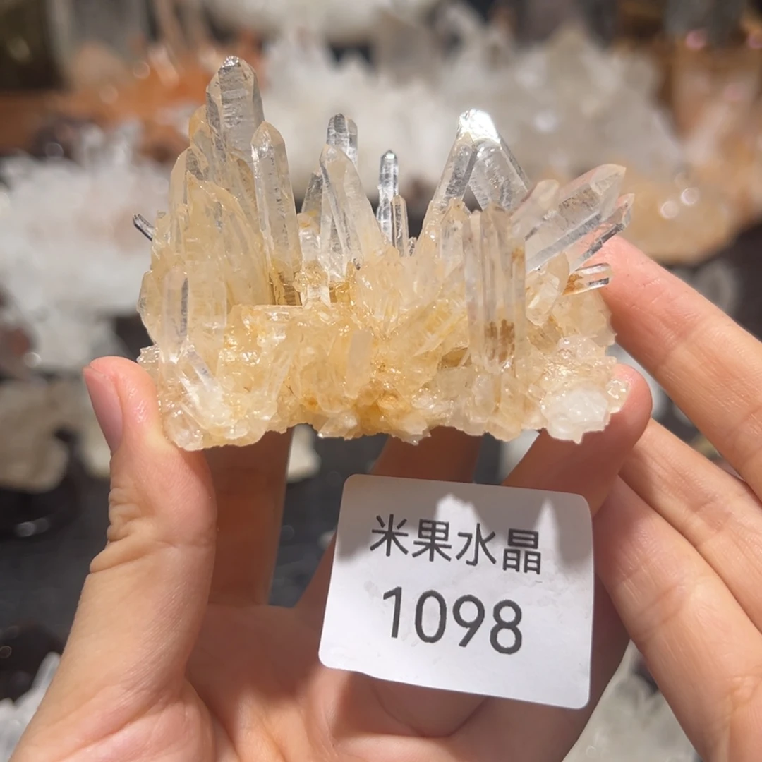 S***貝未镶嵌水晶珠宝半成品