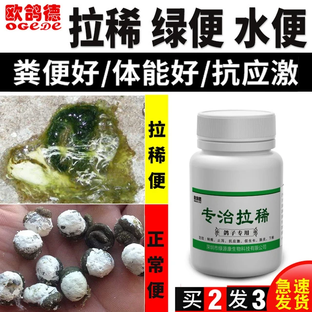 欧鸽德鸽子药活菌药斗鸡拉稀水绿黄白便沙门氏菌专用药常见病大