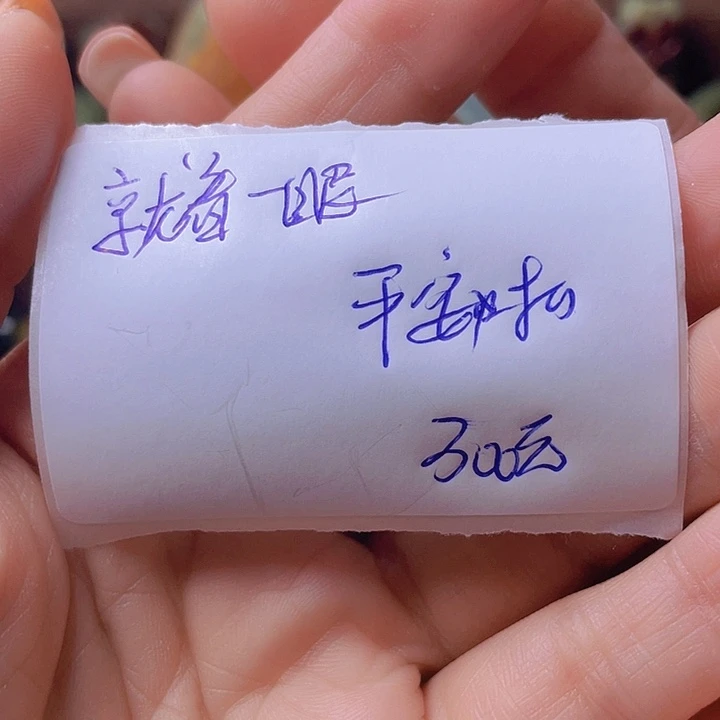 未镶嵌岫岩河磨玉（透闪石质玉）挂件就**眼