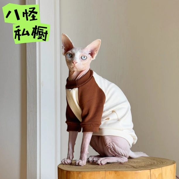 手工制作无毛猫德文猫冬季单面摇粒绒保暖弹力棕白拼色卫衣