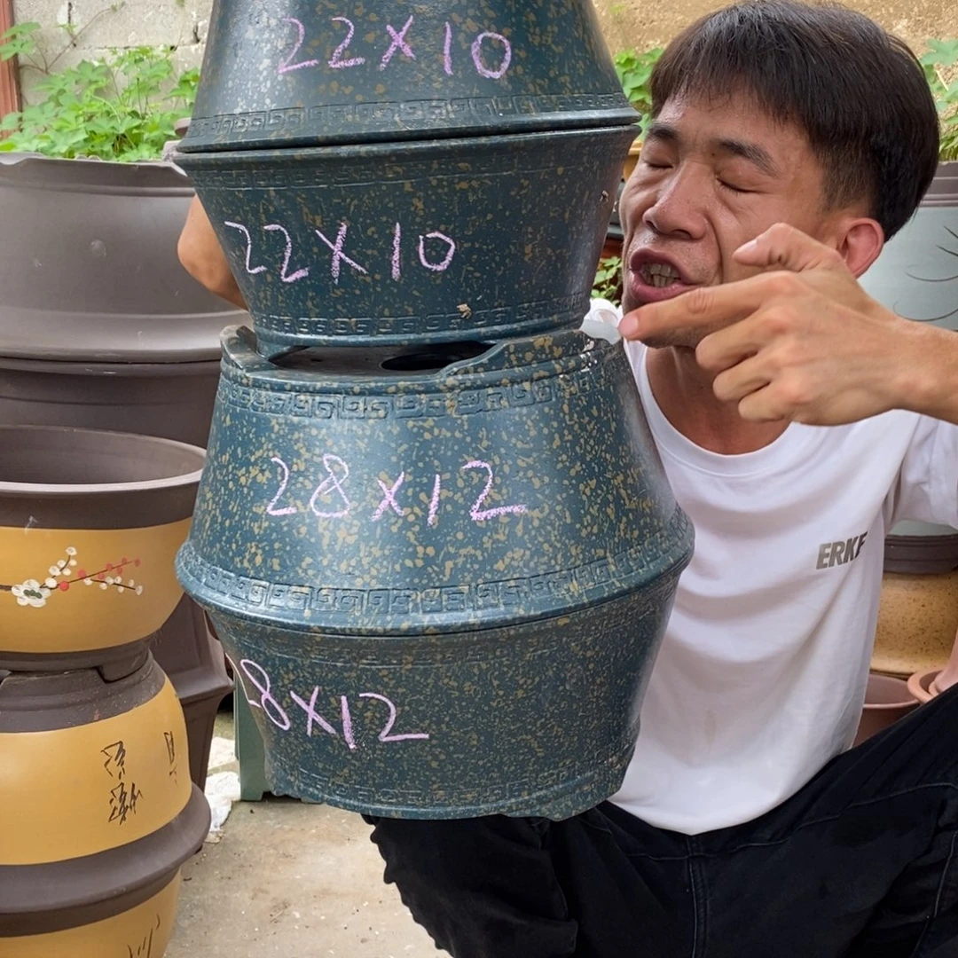 紫砂紫砂紫砂紫砂