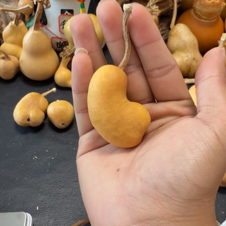 H***e88……………………………………