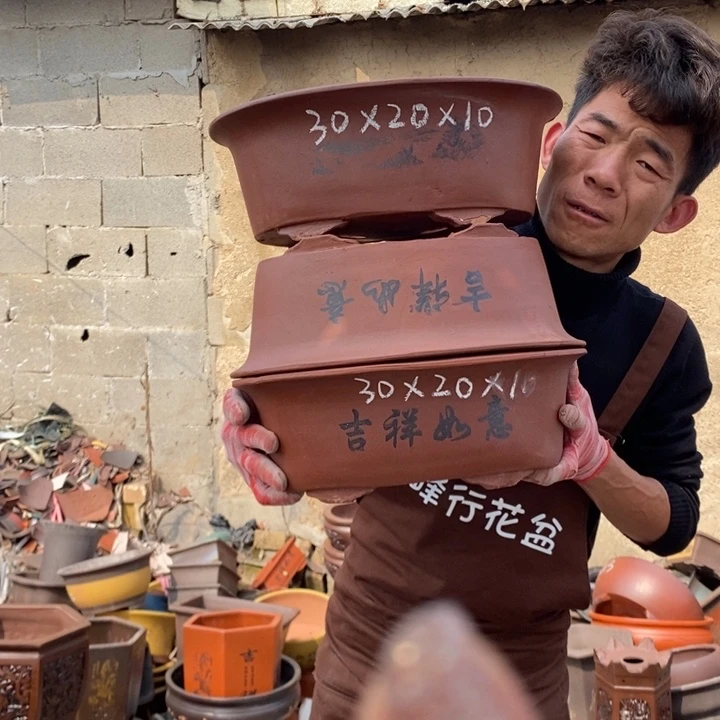 红陶紫砂花盆里的小姐姐