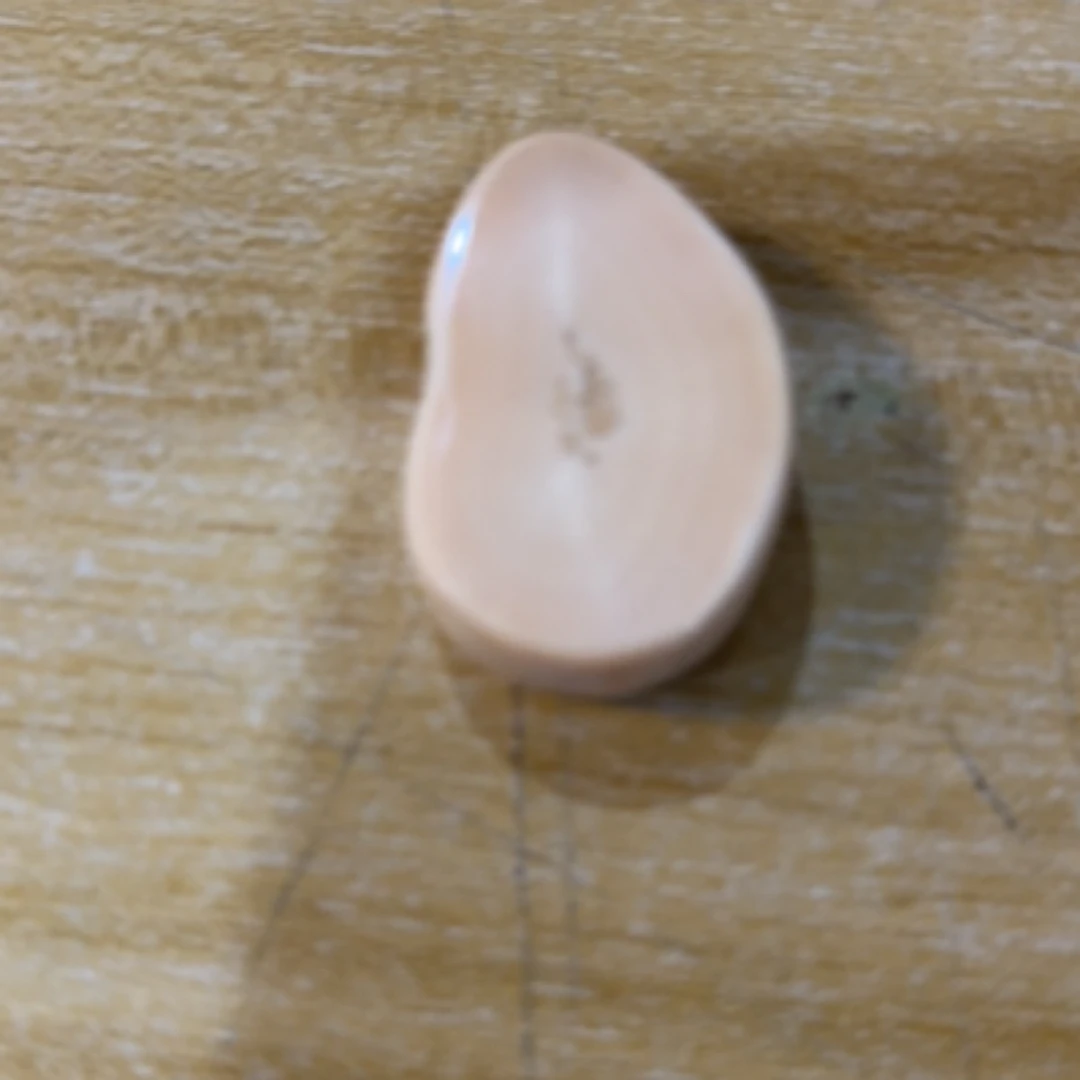 猛犸猛犸虬饼子 WT278