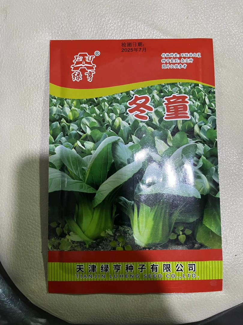 适合春秋种植的油菜白菜蔬菜种子油冬菜种子