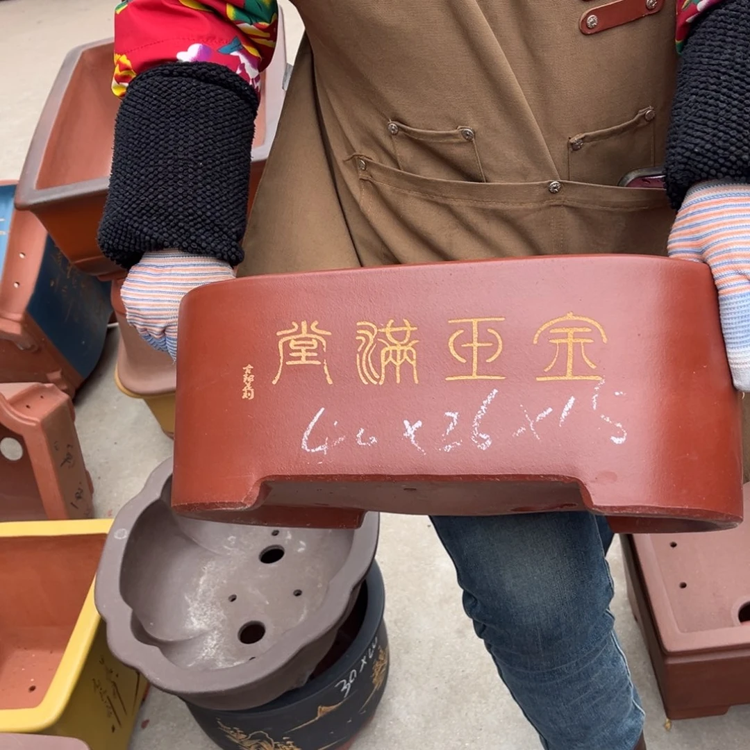 紫砂花盆盆景艺术
