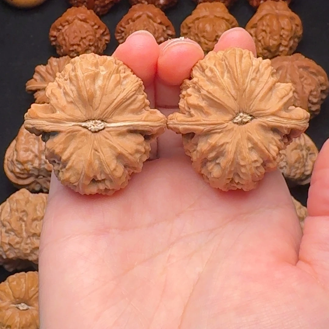 文玩核桃福利白狮子40