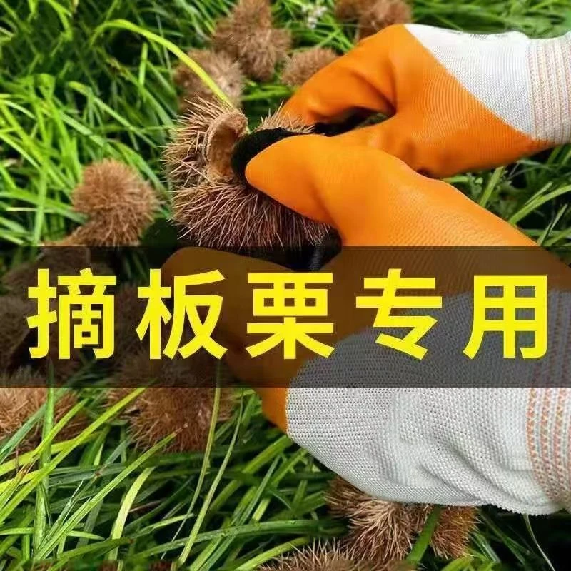 板栗手套剥壳拾板栗专用手套防刺摘板栗剥采摘捡板栗