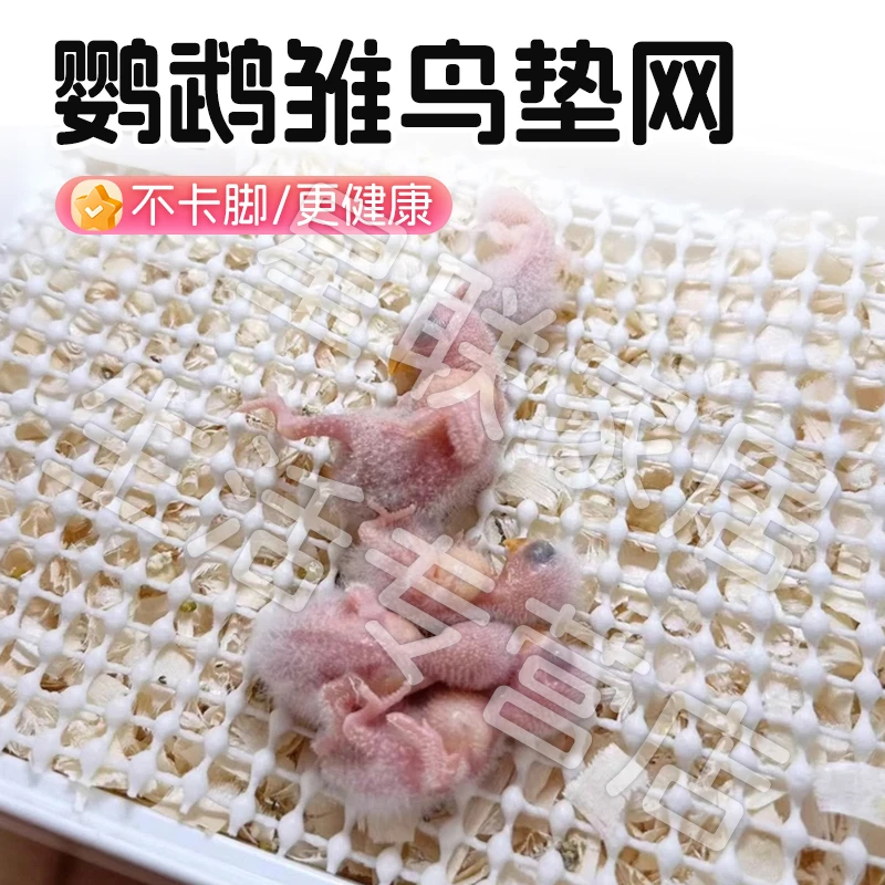 【宠大条】鹦鹉雏鸟垫网鸟笼底部网脚垫底板乳胶网垫幼鸟专用不伤脚