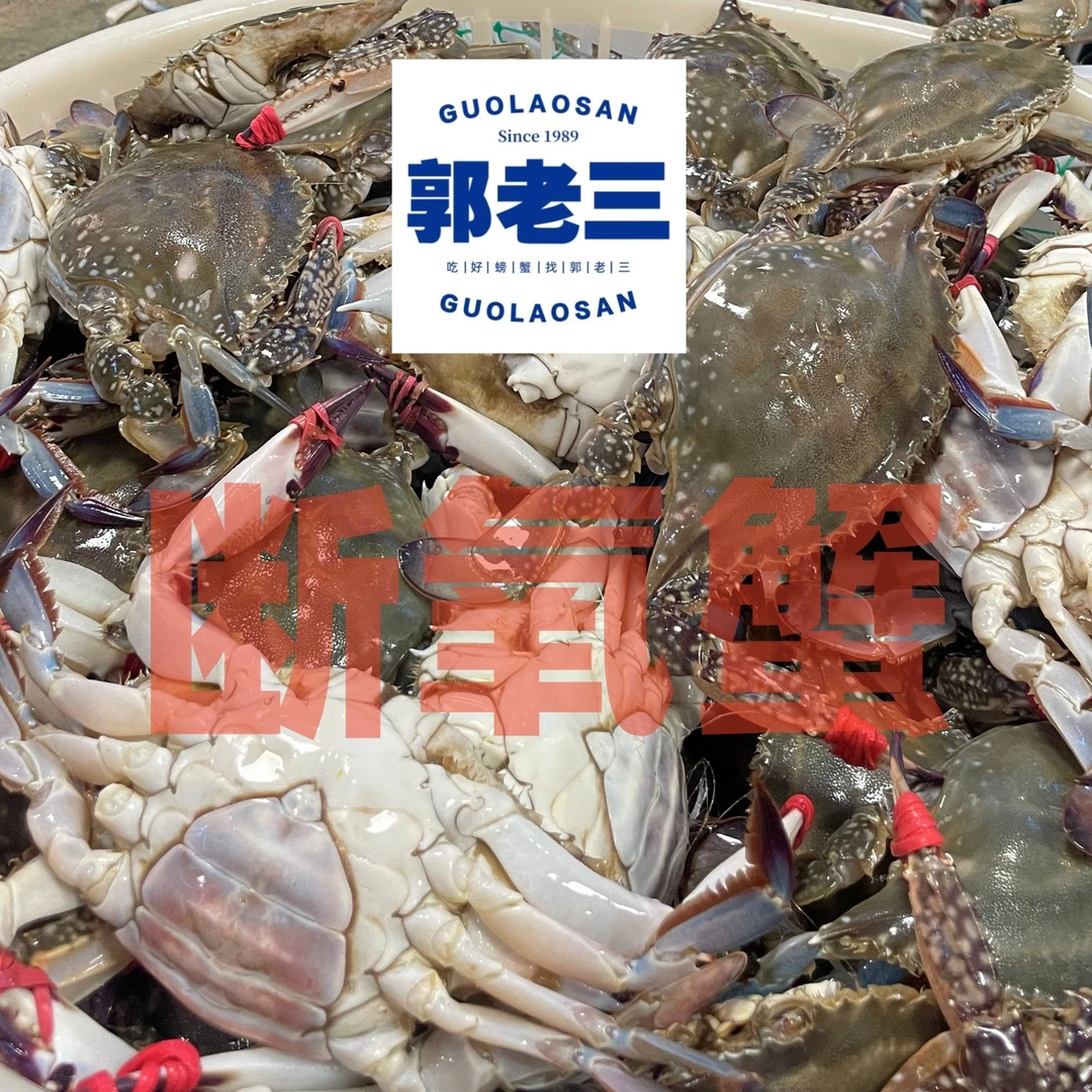 【郭老三八大湖店】梭子蟹睡觉觉公蟹通货 多斤多只多两（no售后介意勿拍）【保鲜不保活】