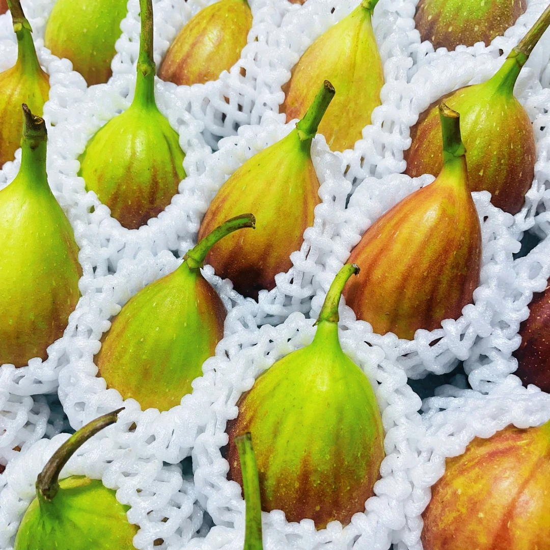 新鲜采摘红皮无花果应季水果清甜可口