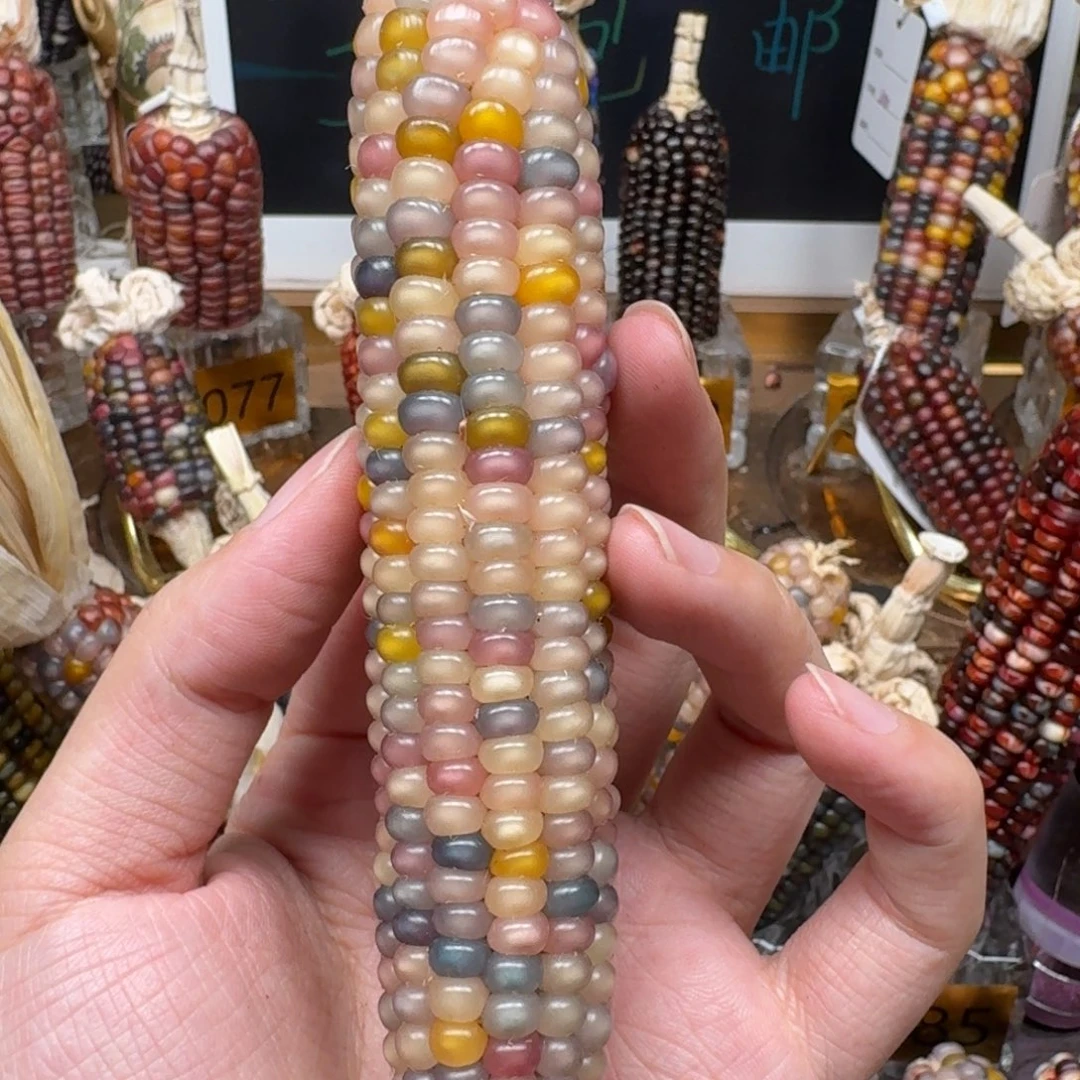 柏香籽/百香籽吊坠仲***∞