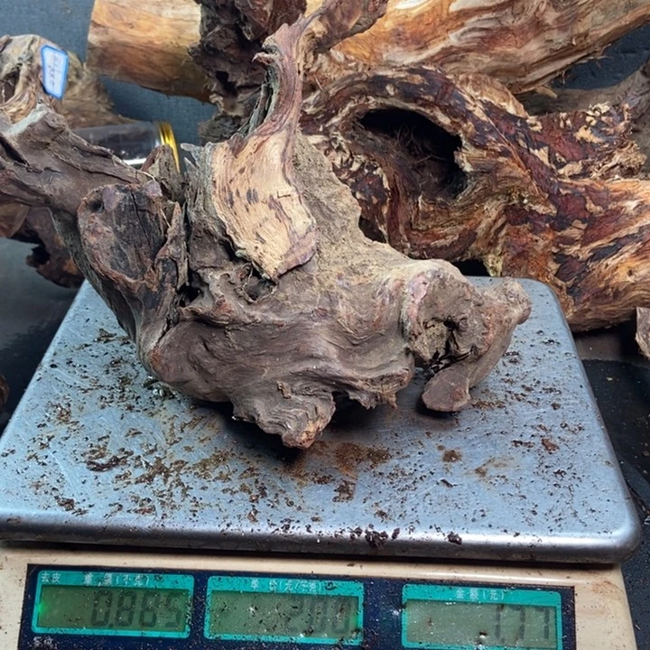 黄花梨/降香黄檀感*