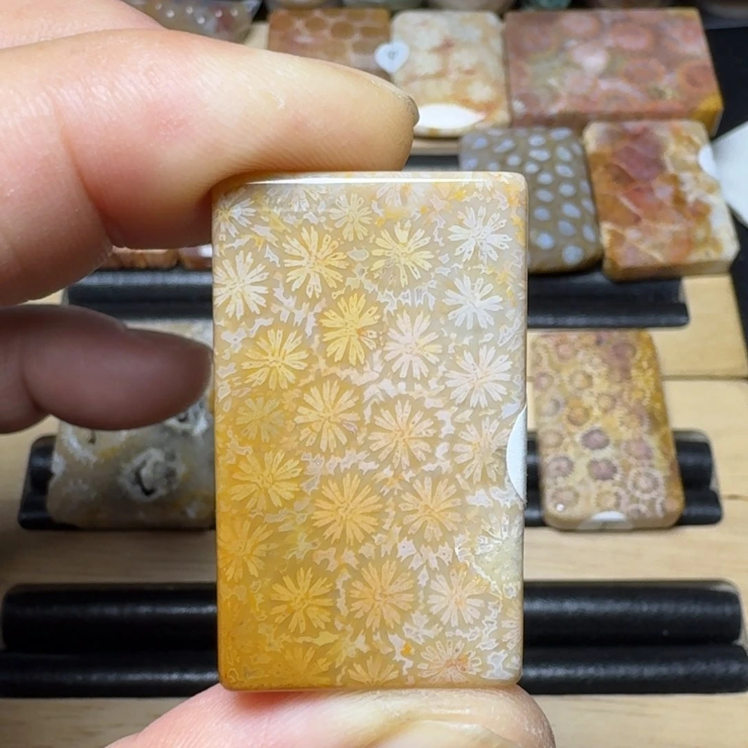 硅化玉纯天然色有机玉石未镶嵌