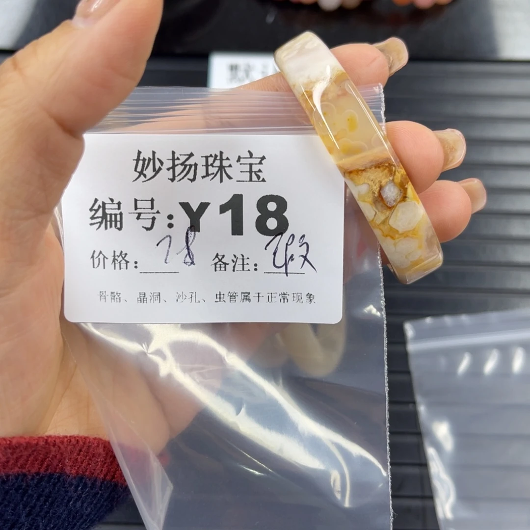 硅化珊瑚（珊瑚玉）瑕未镶嵌猫*虫