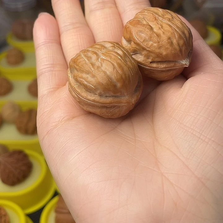 卷***儿文玩核桃吊坠海豚头