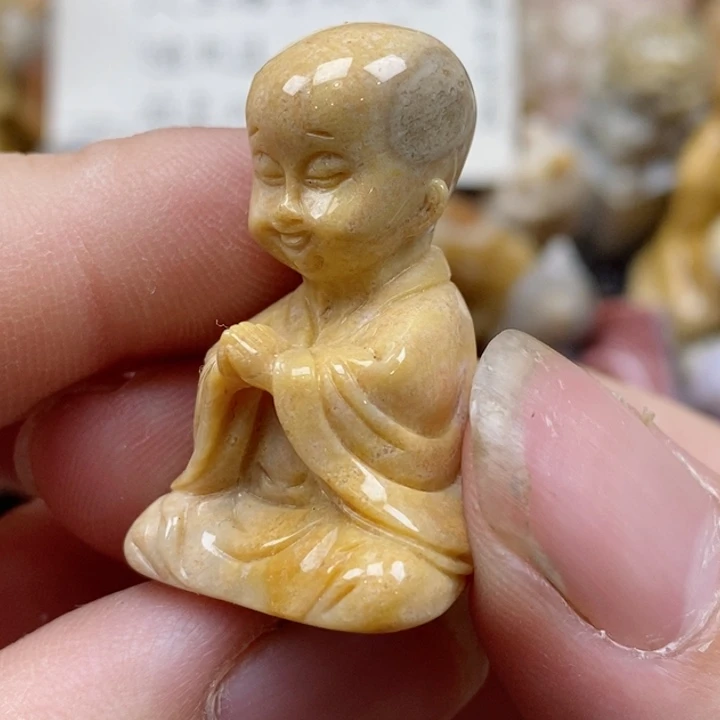 颈饰未镶嵌硅化珊瑚（珊瑚玉）有瑕 没打孔 小