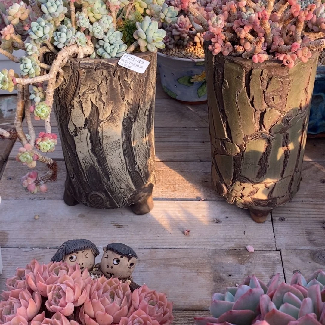 独***闲43号多肉盆两个组合