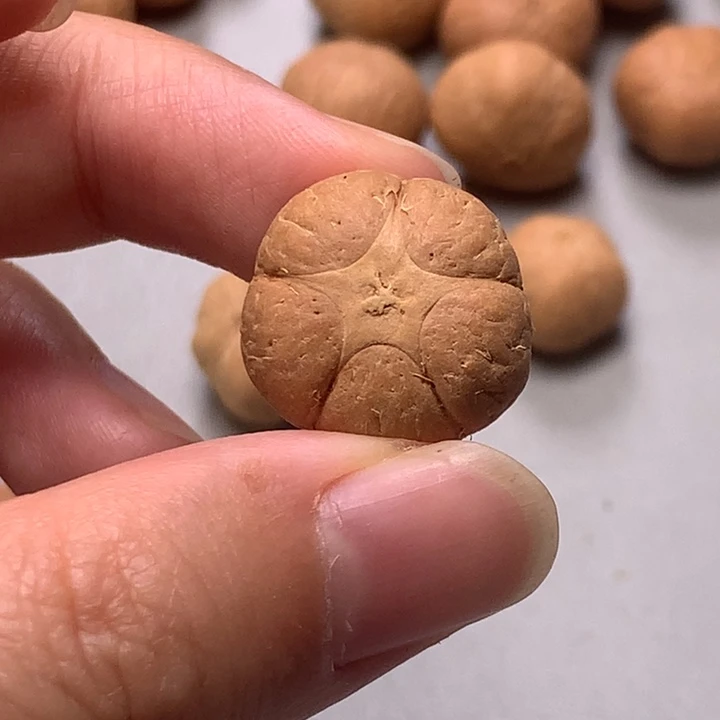 吊坠凤眼菩提五星19.5mm