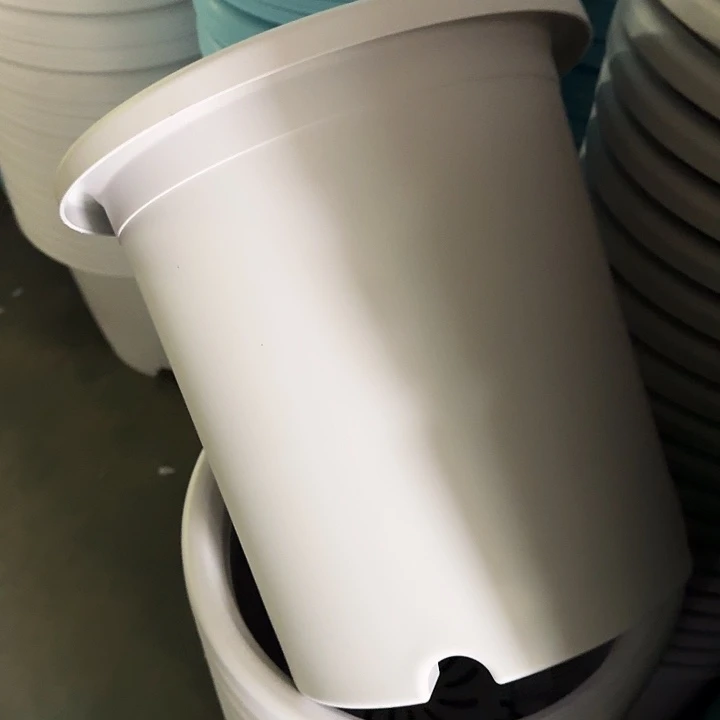 四季7号新灰白无托10个特价微瑕