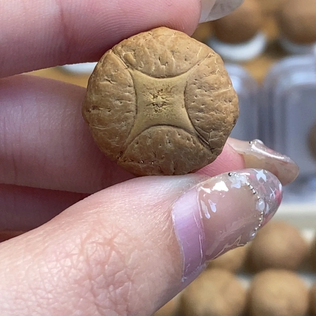 凤眼菩提吊坠树王麒麟眼