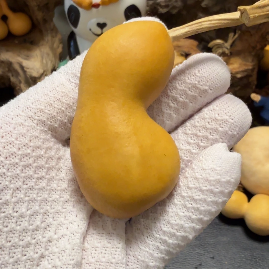 @***二66666666666666666666