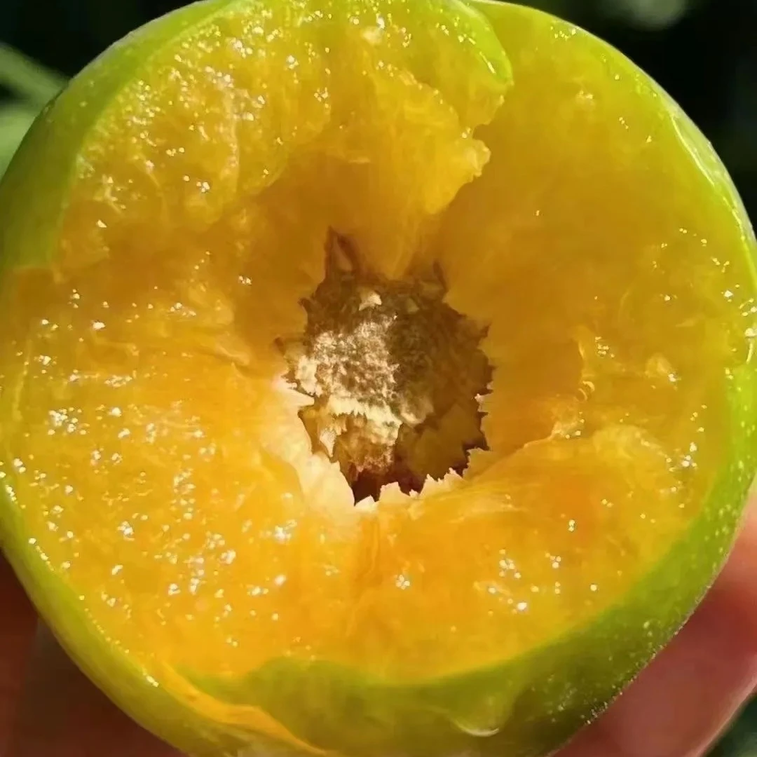 好吃清脆李子一斤装