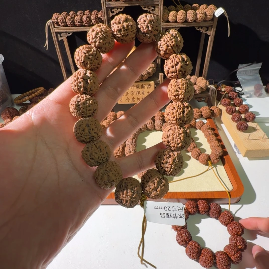 手串金刚菩提20尺寸蜂王