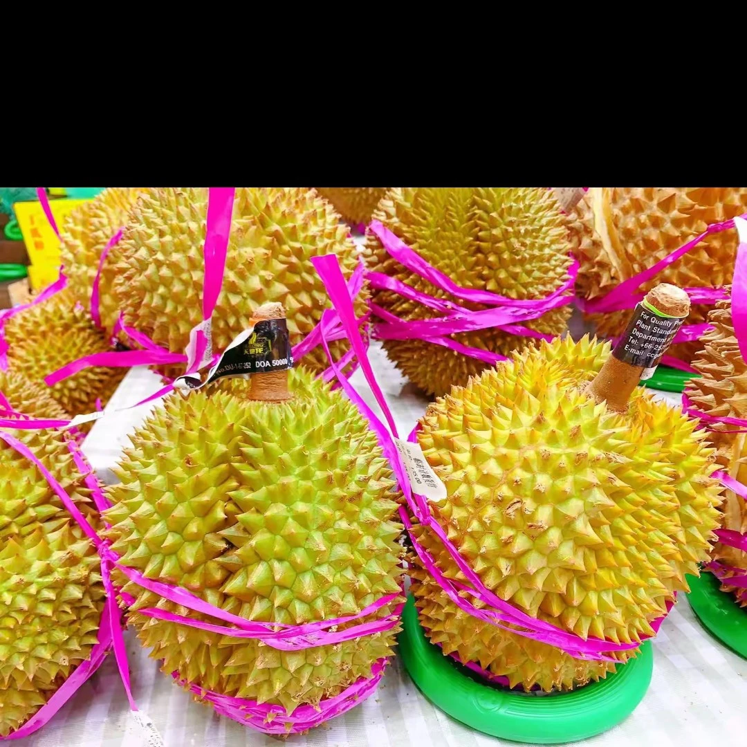 新鲜泰国树熟金枕榴莲核小29.8元一斤金枕辽宁省